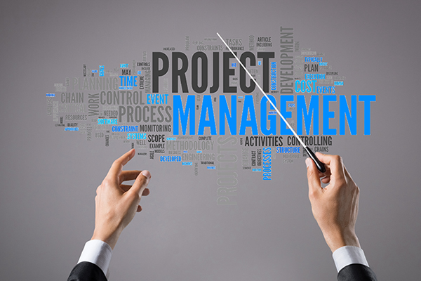 Project Manager Digital Leader