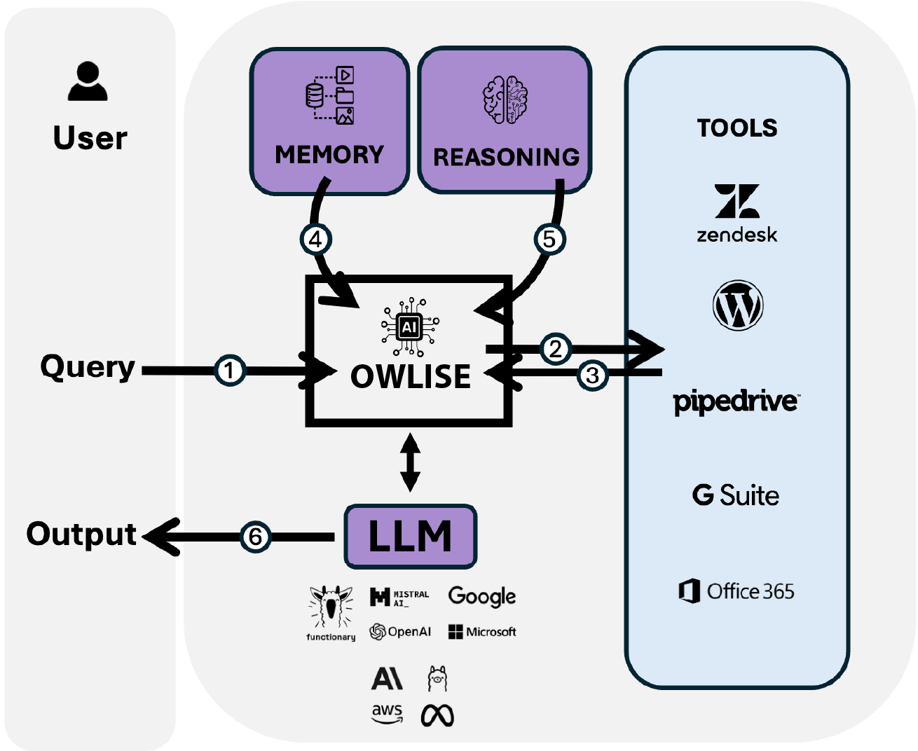 AI owlise schema